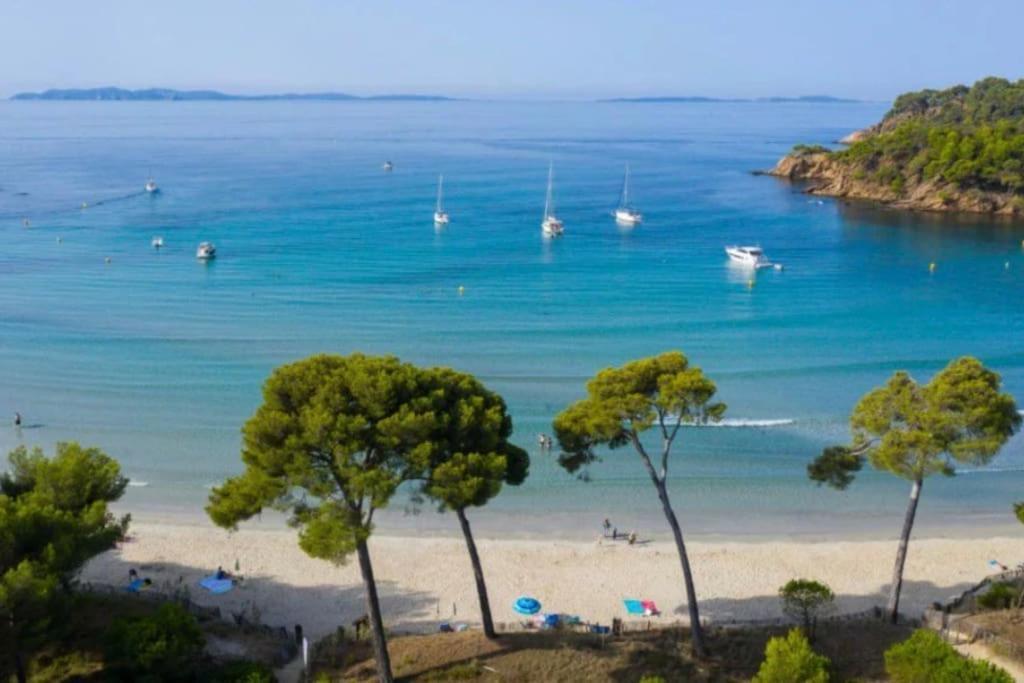 Apartment Proche Plages Et Port